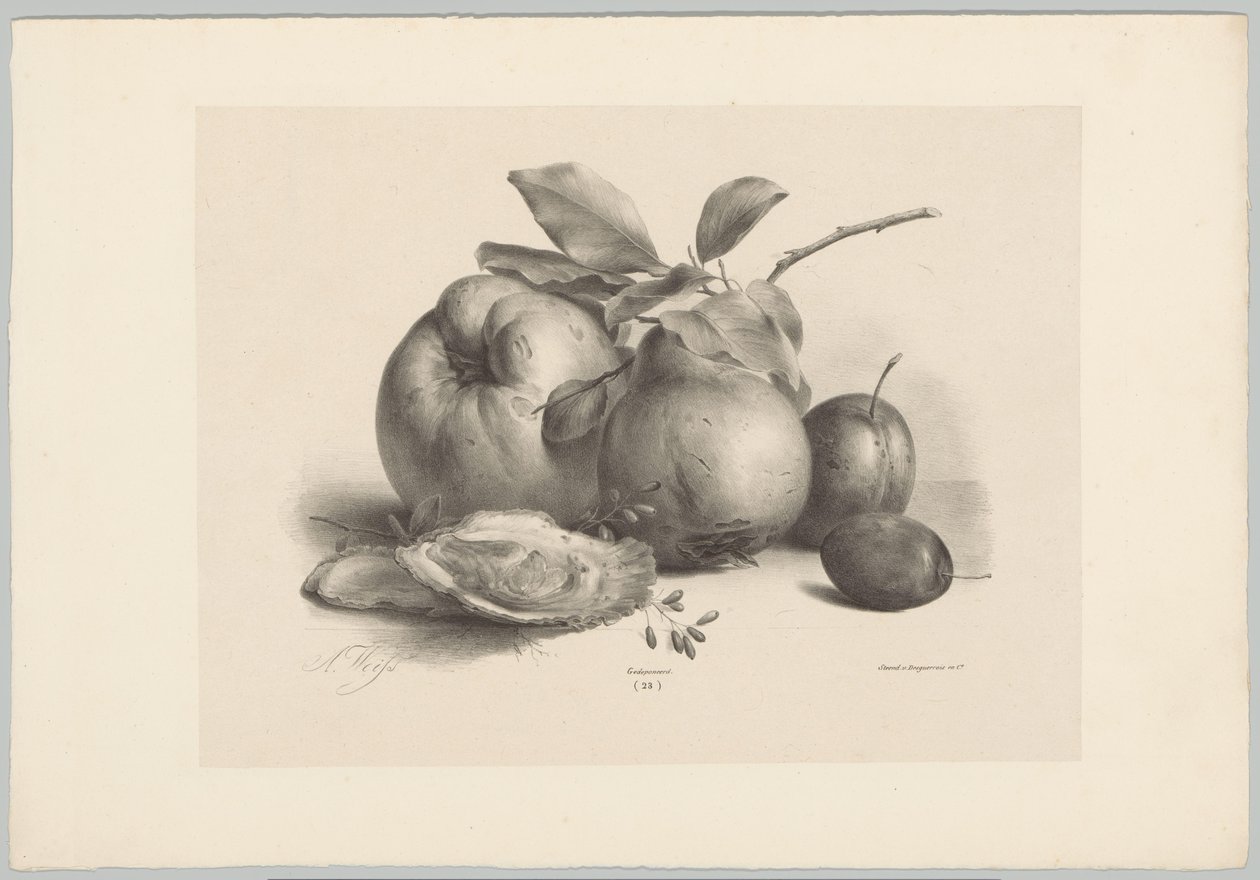 Frukt, plommer og østers Flower and Fruit Studies (...) 10. episode (serietittel) av Anton Weiss