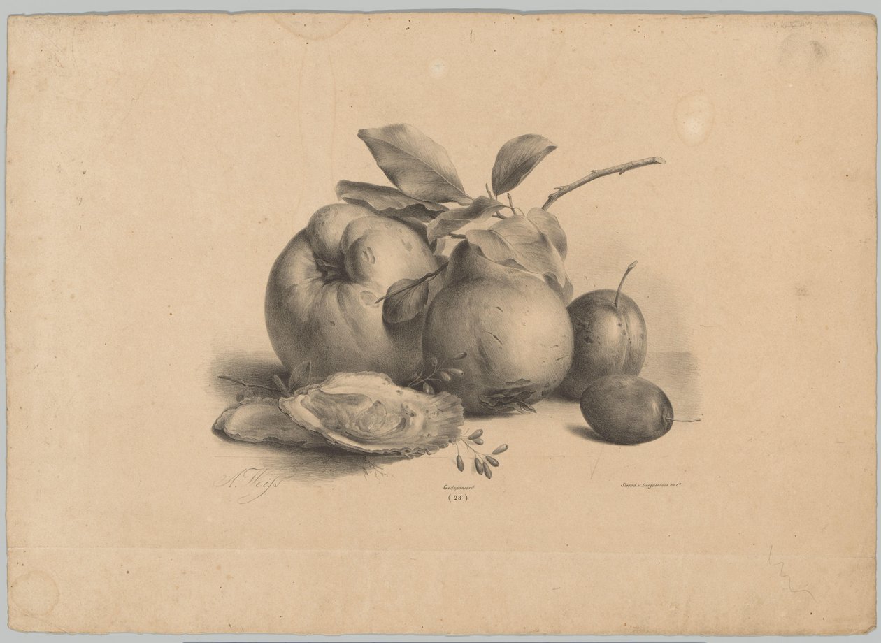 Frukt, plommer og østers Flower and Fruit Studies (...) 10. episode (serietittel) av Anton Weiss