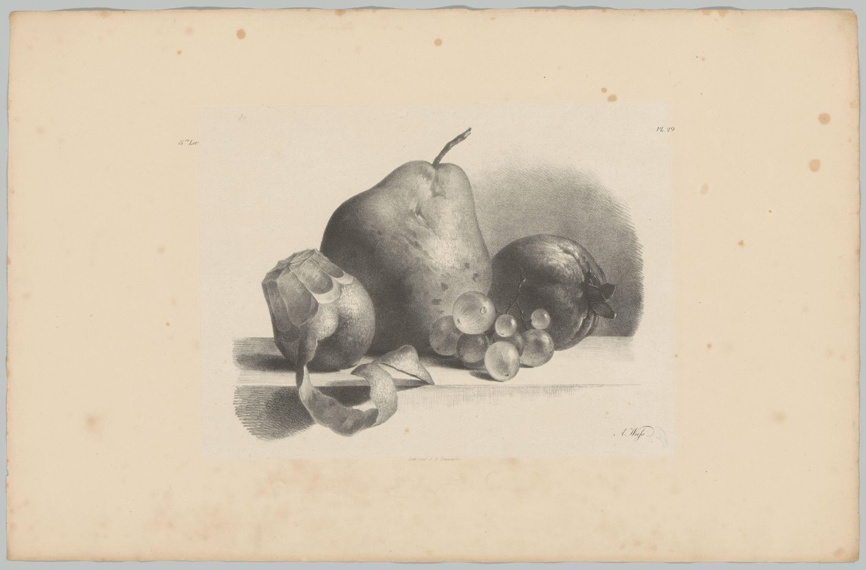 Pære, fersken, druer og skrelt sitron Flower and Fruit Studies (...) 3. episode (serietittel) av Anton Weiss