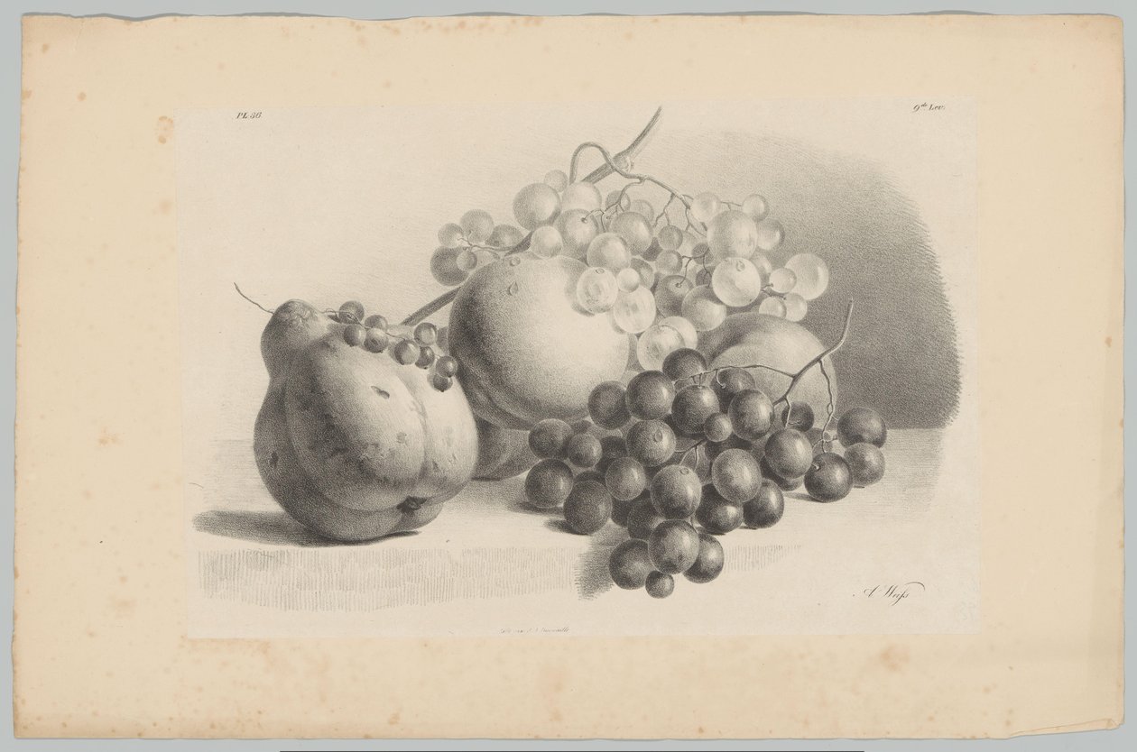 Gresskar, bær, druer og fersken Flower and Fruit Studies (...) 3. episode (serietittel) av Anton Weiss