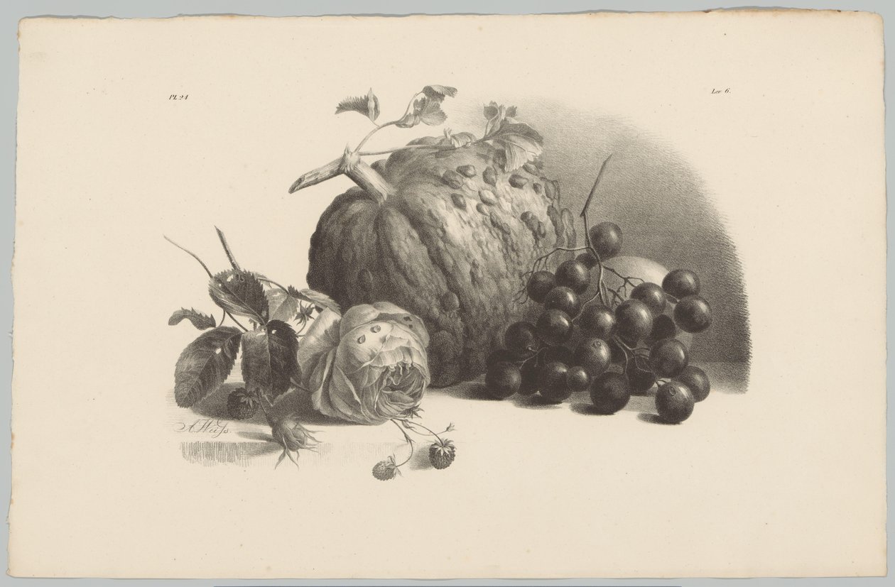 Gresskar, druer, rose og jordbær Flower and Fruit Studies (...) 3. episode (serietittel) av Anton Weiss