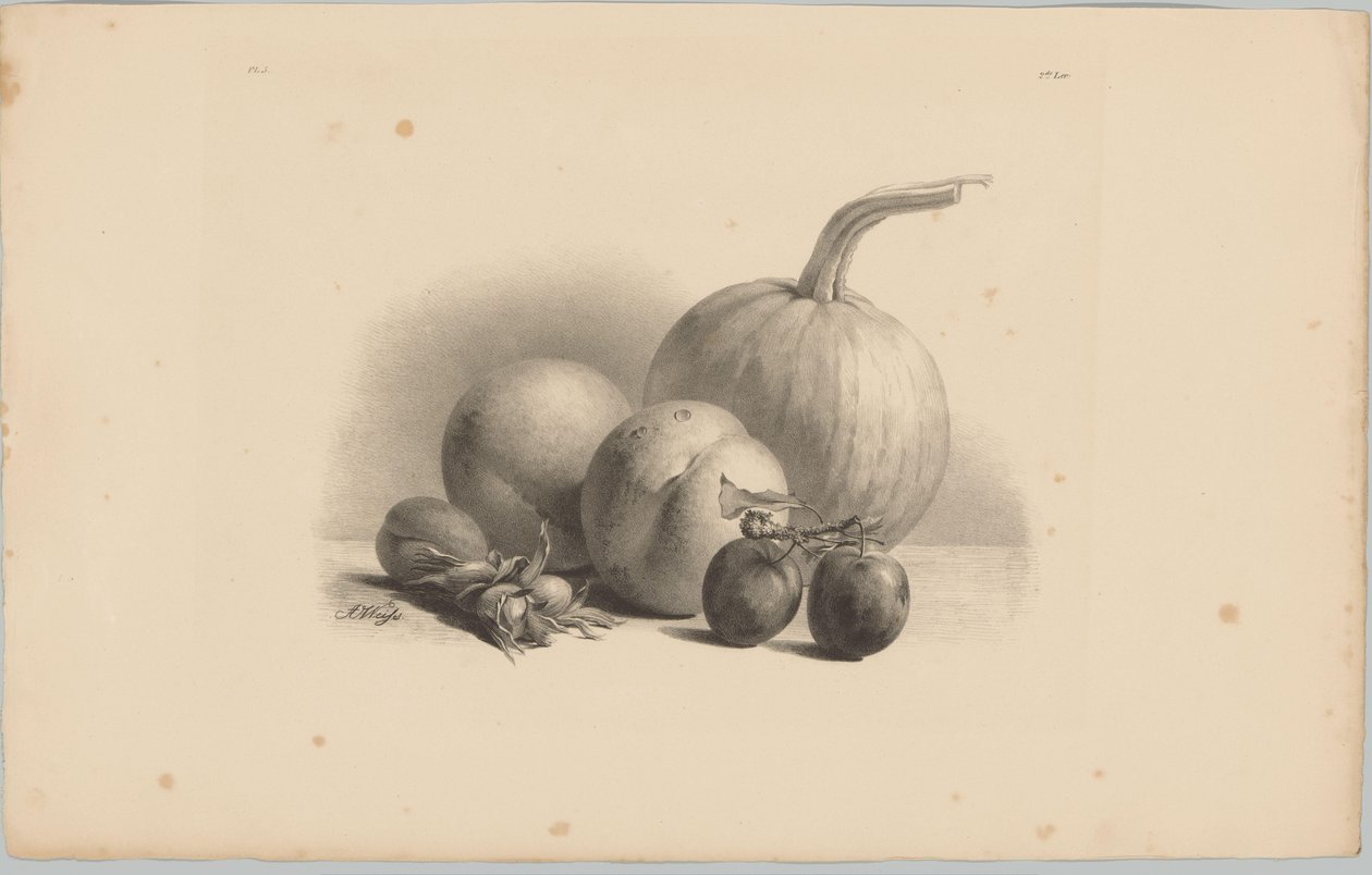 Gresskar, fersken, aprikos, plommer og hasselnøtter Flower and Fruit Studies (...) 3. episode (serietittel) av Anton Weiss
