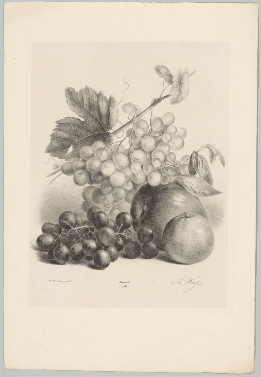Røde og hvite druer og epler Flower and Fruit Studies (...) 10. episode (serietittel) av Anton Weiss