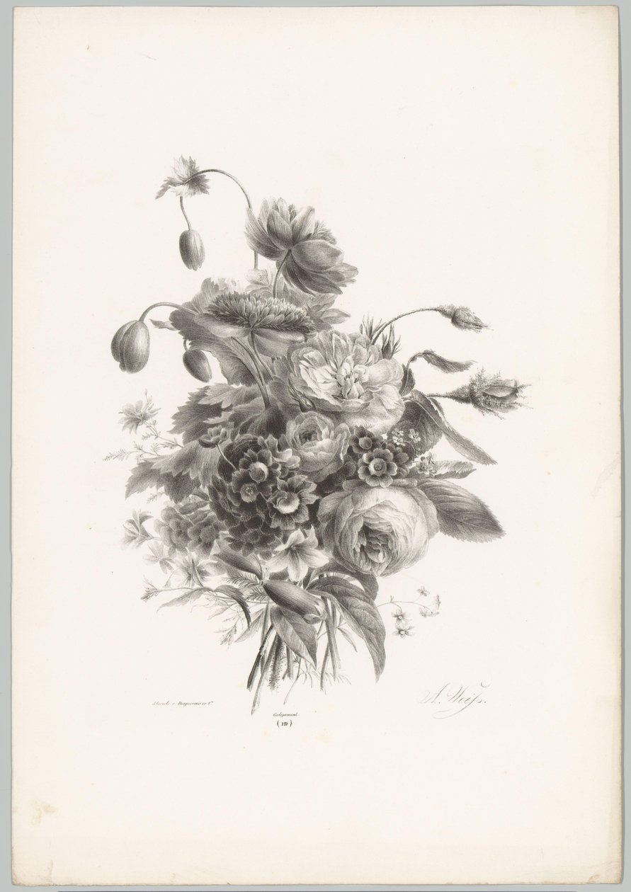 Roser og andre blomster Flower and Fruit Studies (...) 10. episode (serietittel) av Anton Weiss
