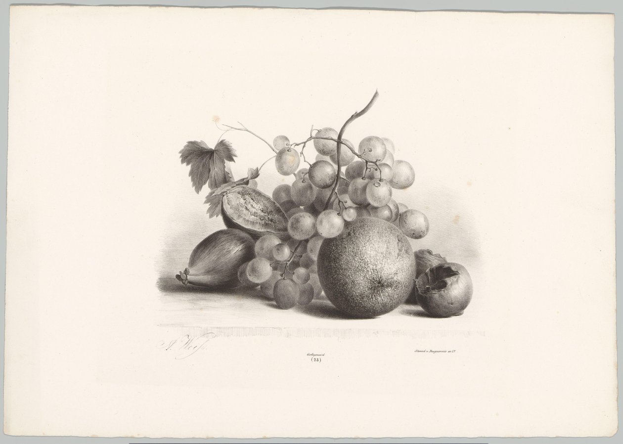 Fiken, druer og appelsin Flower and Fruit Studies (...) 10. episode (serietittel) av Anton Weiss