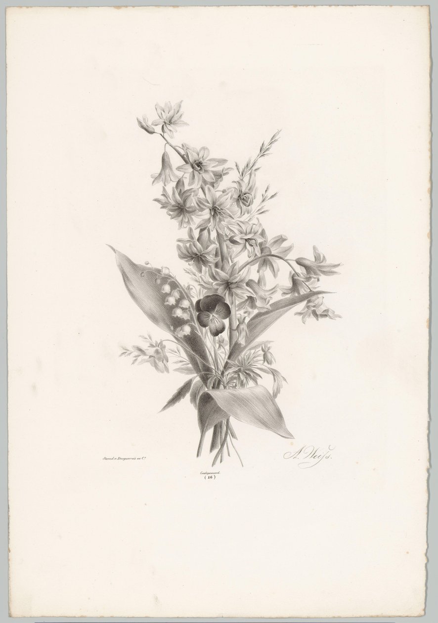 Stemorsblomst og hyasint og klokkeformede blomster Flower and Fruit Studies (...) 10. episode (serietittel) av Anton Weiss