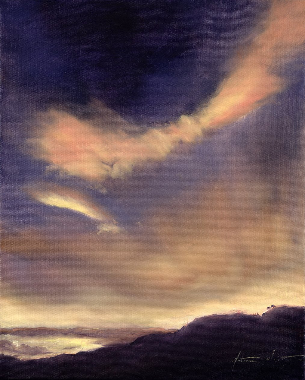 Sommerfuglskyer, 2002 av Antonia Myatt