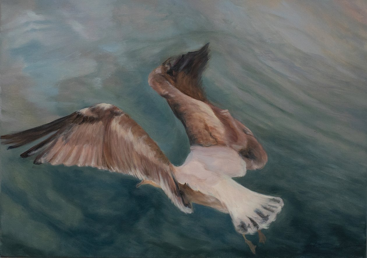 Måken kommer inn i land, 2012 (olje på lerret) av Antonia Myatt