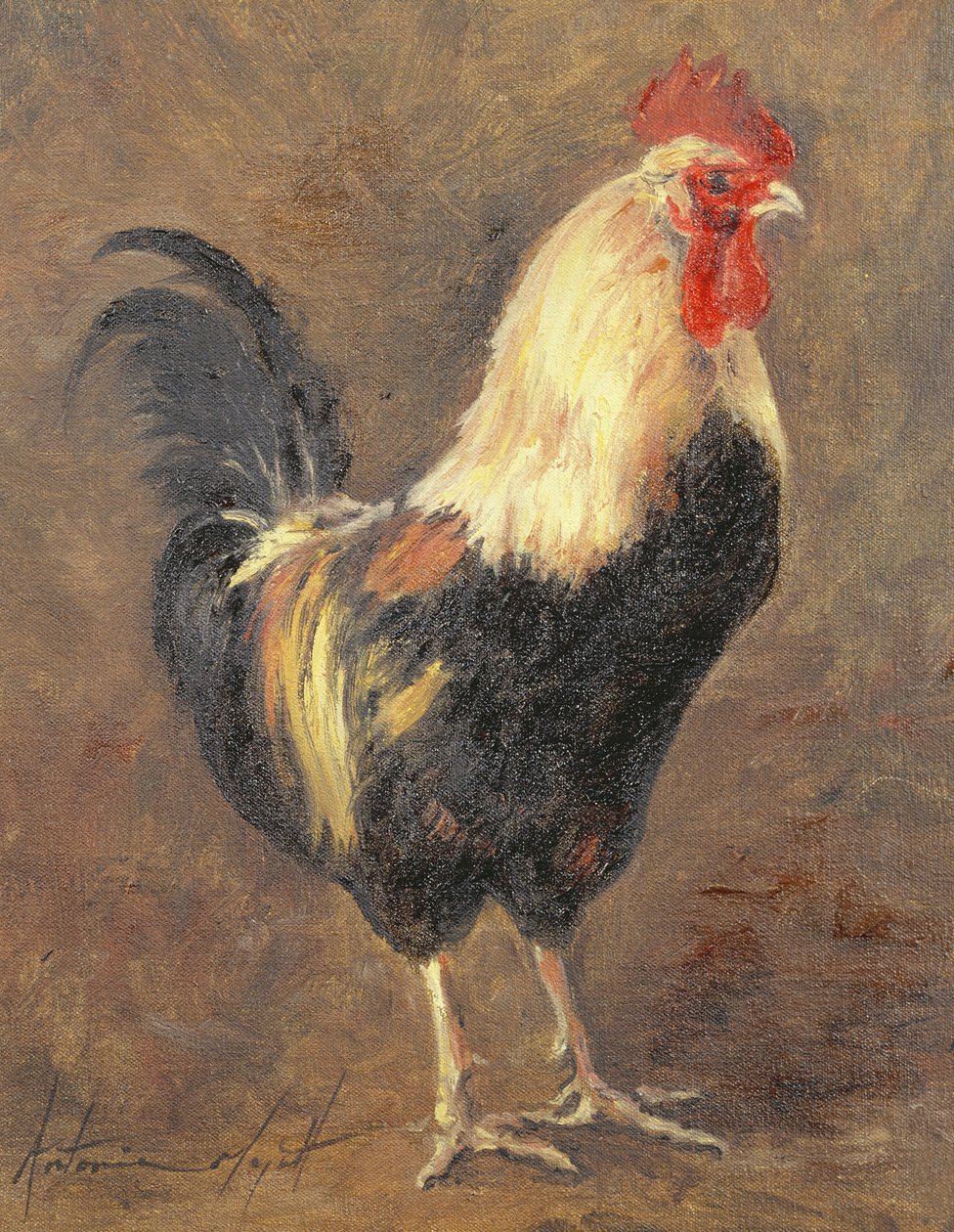 Hanen, 1999 av Antonia Myatt