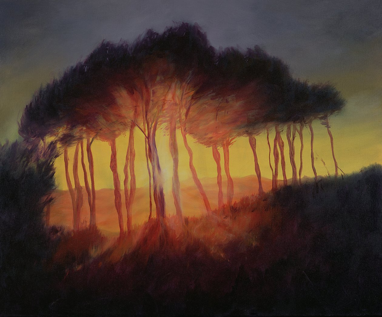 Ville trær ved solnedgang, 2002 av Antonia Myatt