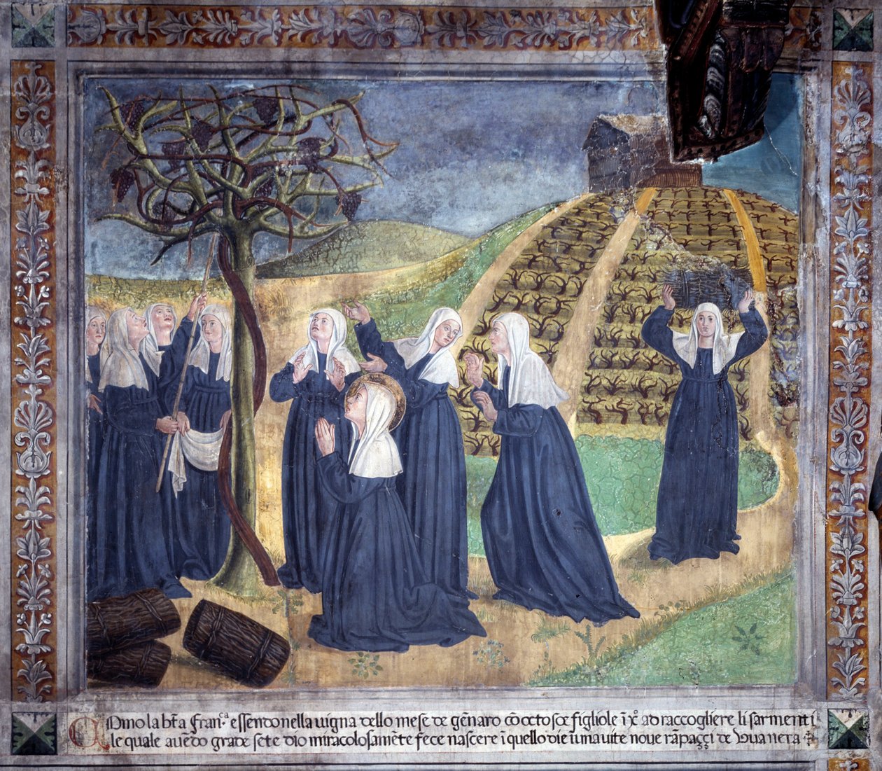Livet til Saint Francoise Romaine: helgenen som vedlikeholder vingården med søstrene får druer til å dukke opp i januar (Fresco av Antoniazzo Romano