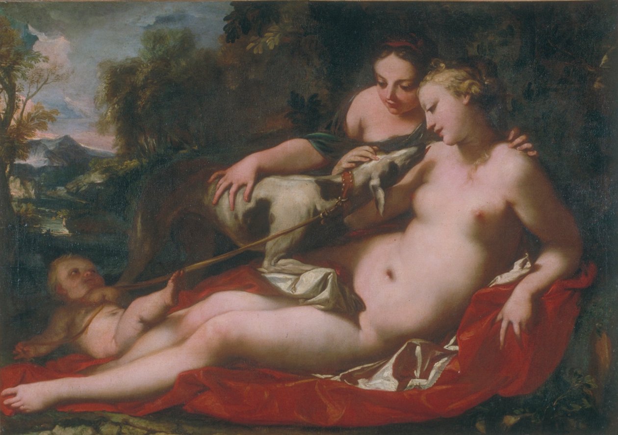 Ukjent bilde av Antonio Bellucci