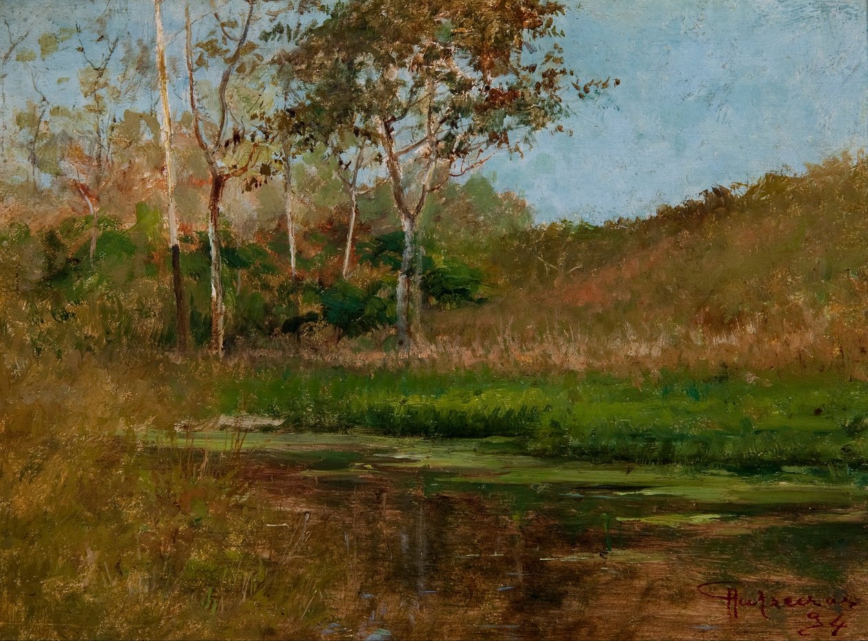 Fortsatt vann av Antonio Parreiras