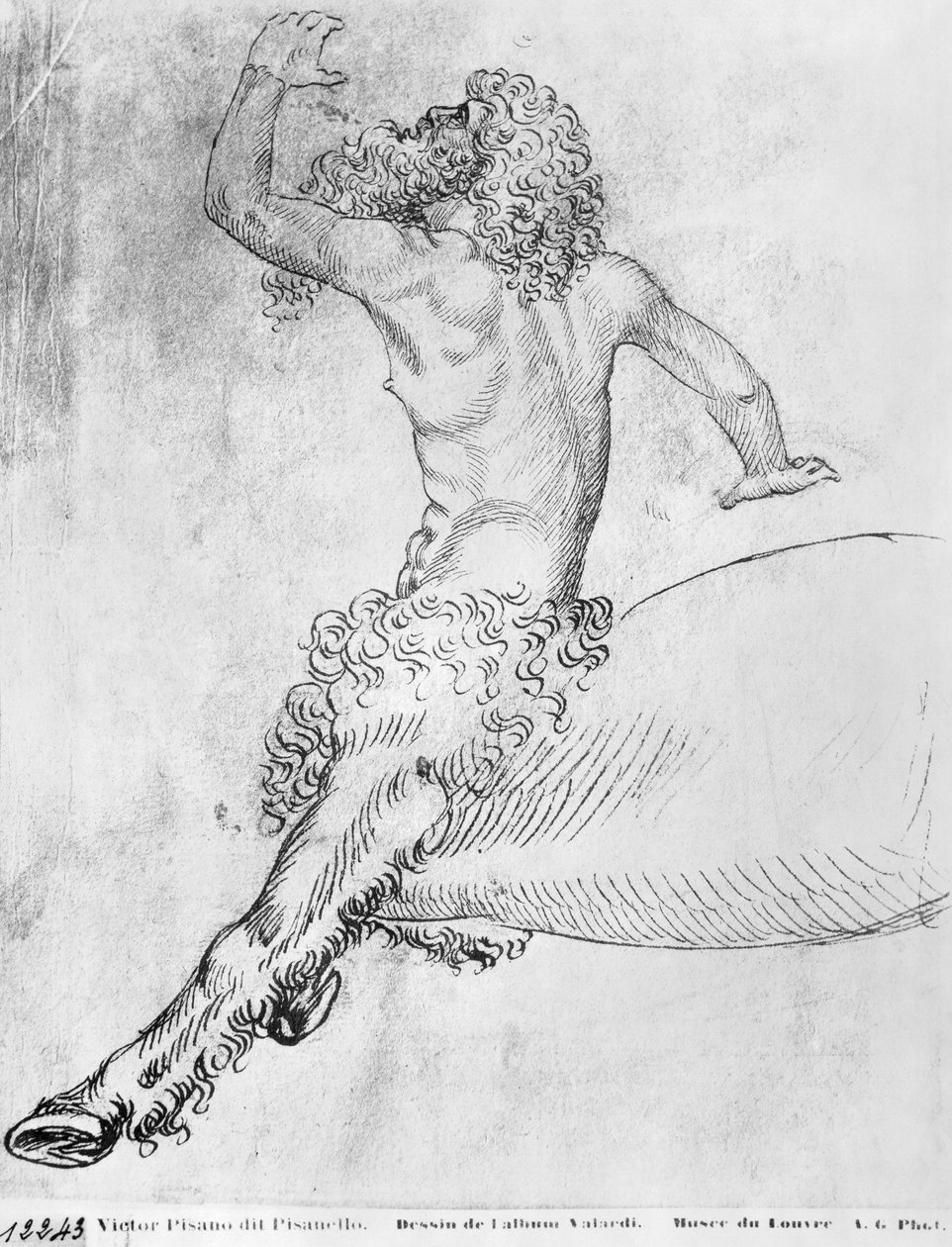 Centaur, fra The Vallardi Album av Antonio Pisanello