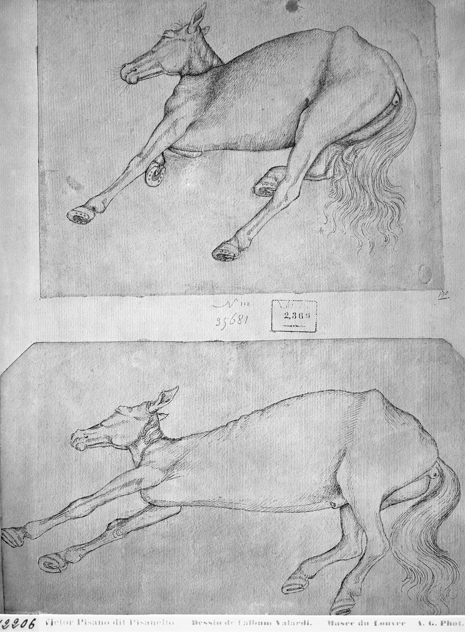 Døde hester, fra The Vallardi Album av Antonio Pisanello