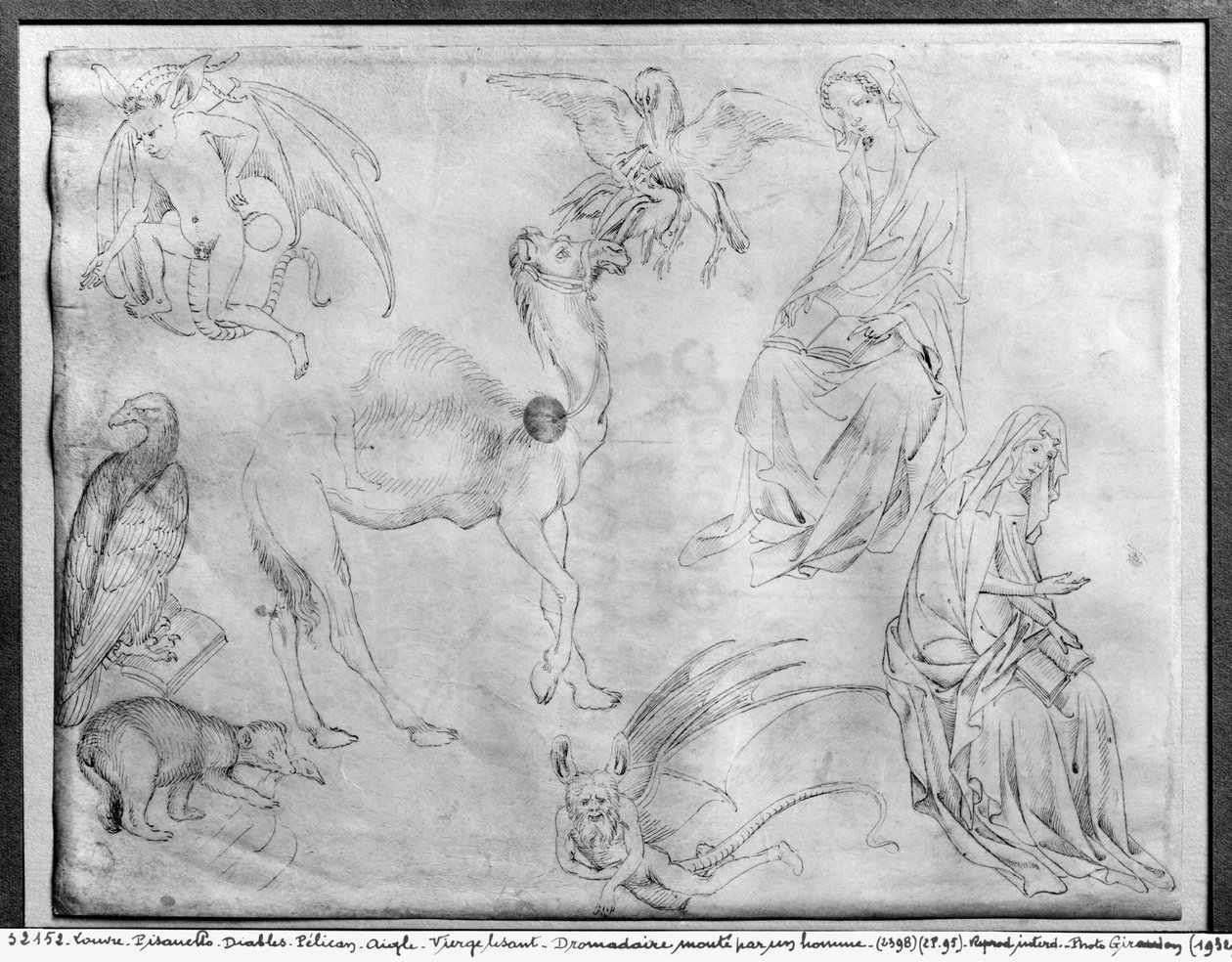 Studieark, fra The Vallardi Album av Antonio Pisanello
