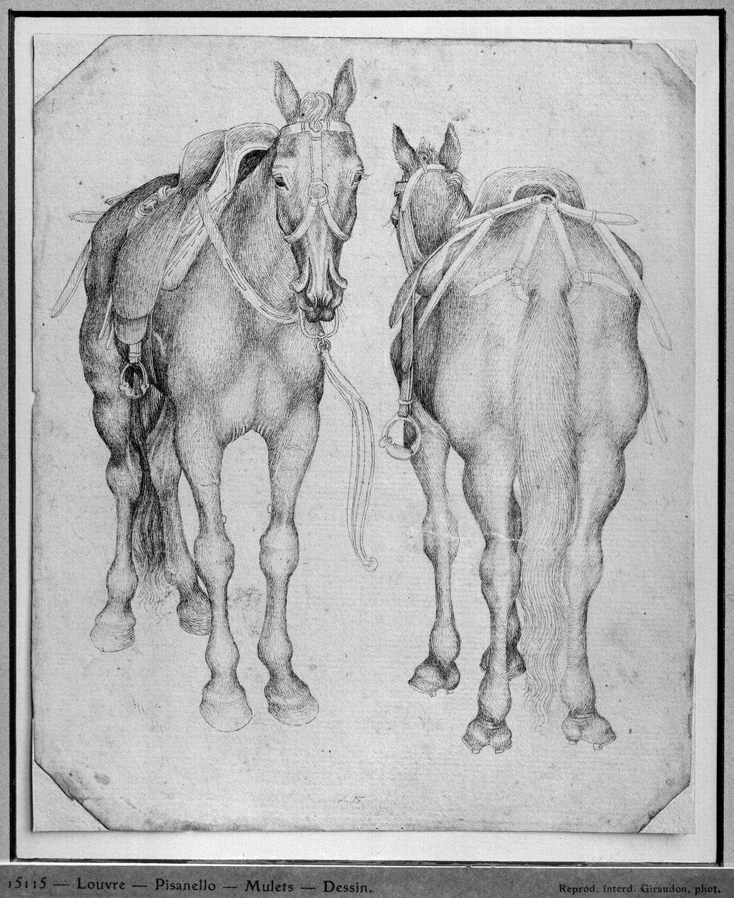 To hester, fra The Vallardi Album av Antonio Pisanello