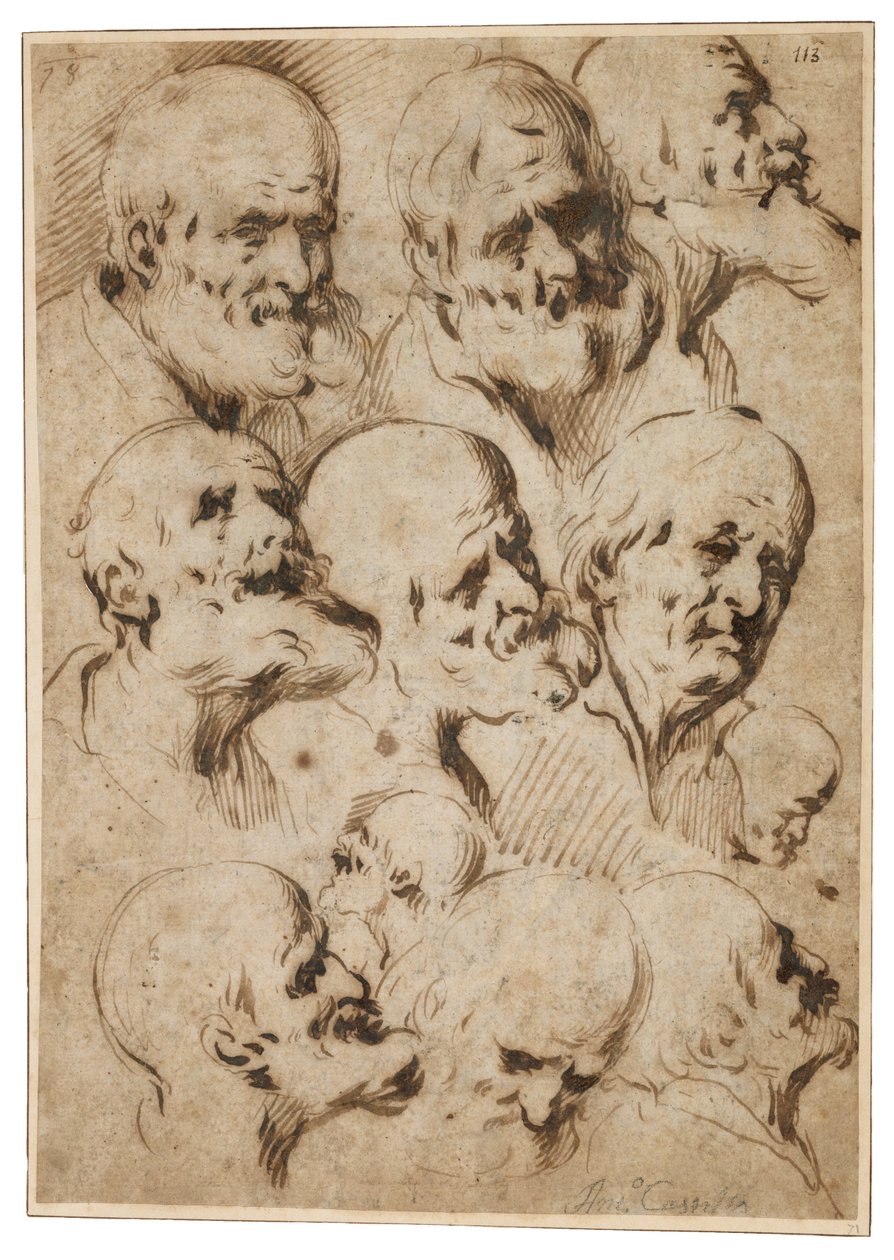 Studie av apostelhoder, ca. 1650 (rørpenn og brunt blekk på lagt papir) av Antonio del Castillo y Saavedra