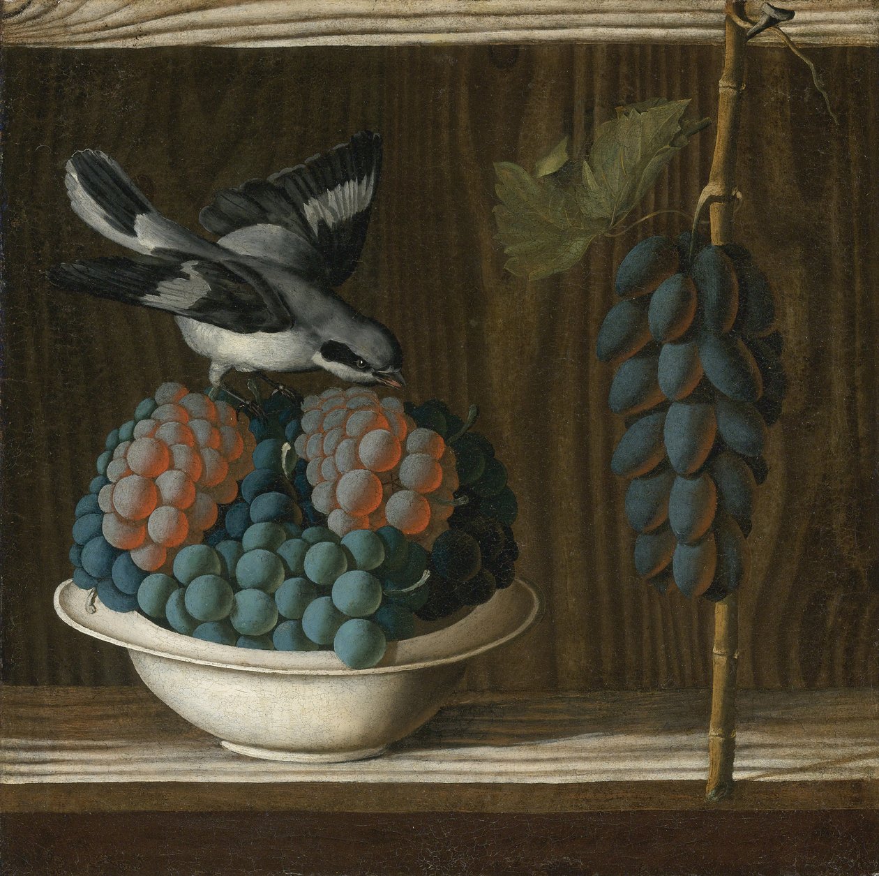 Stilleben med druer og et gråtskrike (Allegory of Painting) av Leonelli (da Crevalcore), Antonio (ca. 1450-før 1525). Olje på lerret, størrelse: 40x39,7, ca. 1500, Privat av Antonio (fl.1478 1513) Leonelli