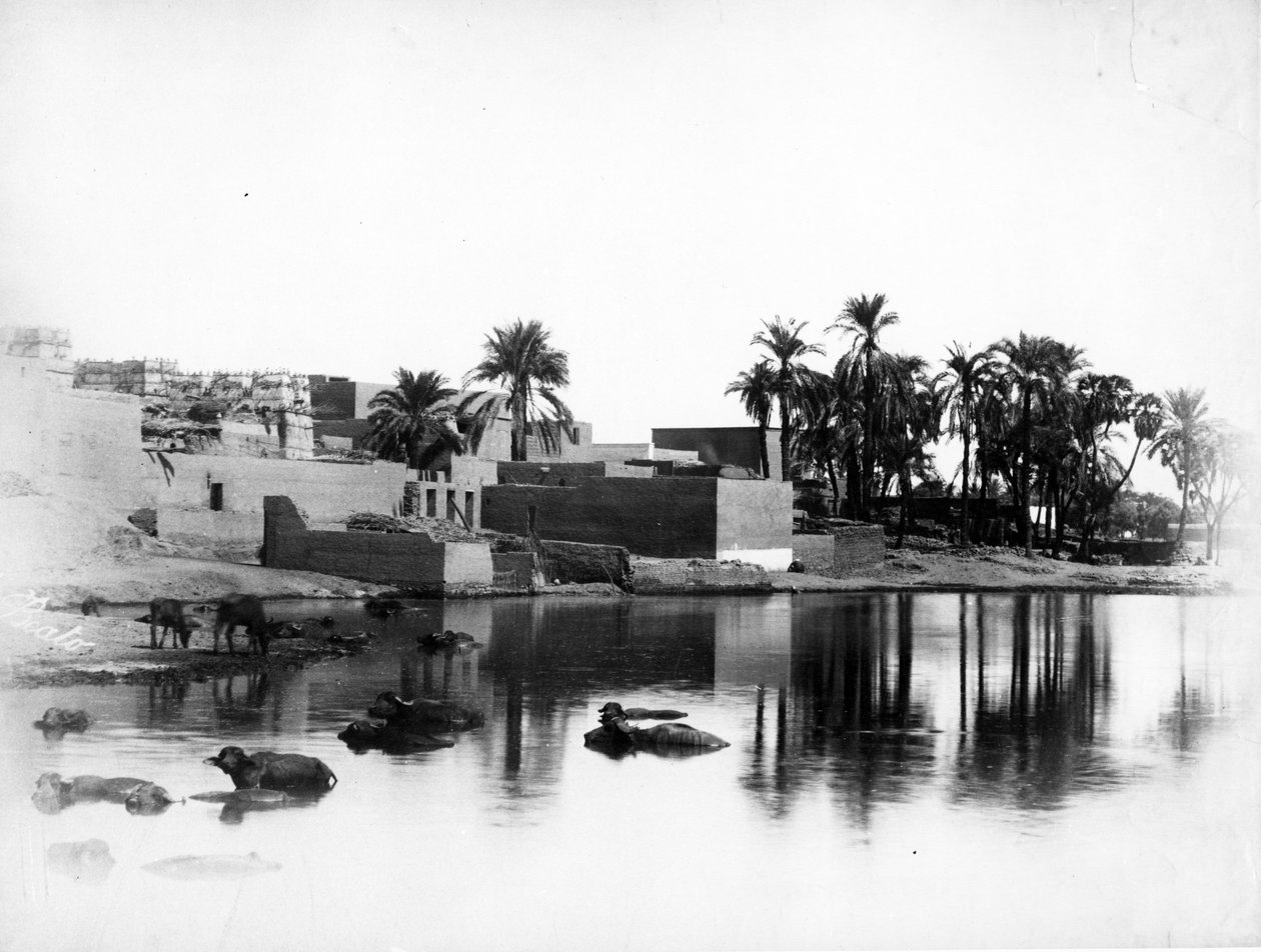 Luxor sett fra en Nilebåt, ca. 1860-80 av Antonio Beato