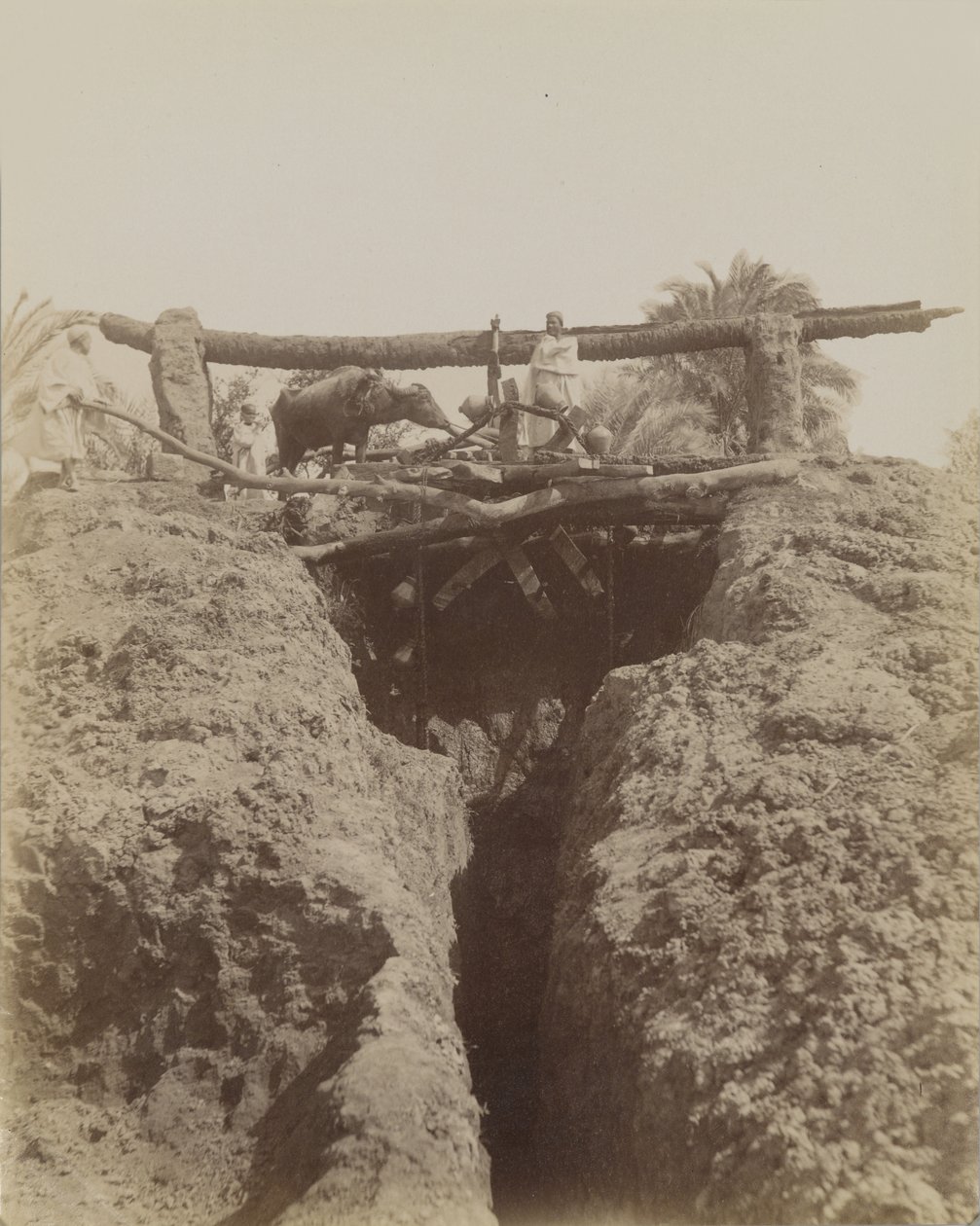 Sehaquieh, Egypt av Antonio Beato