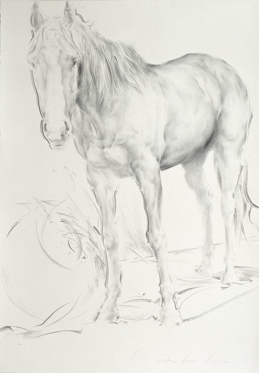 Horse at Coolmore, 1990 (kull på papir) av Antonio Ciccone