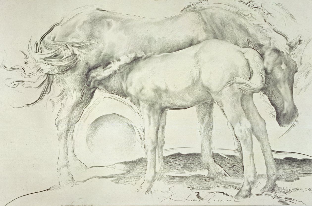 Horses at Coolmore, 1990 (kull på papir) av Antonio Ciccone
