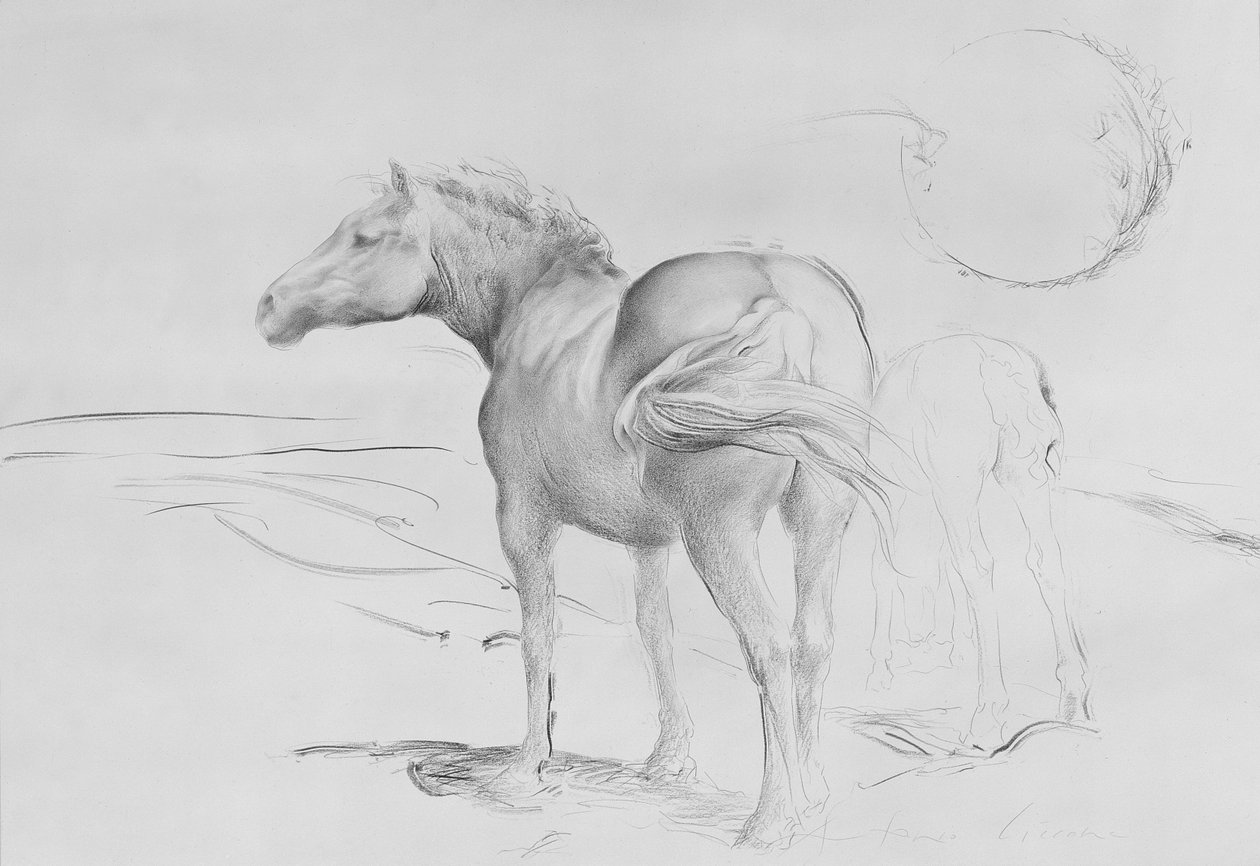 Horses at Coolmore, 1990 (kull på papir) av Antonio Ciccone