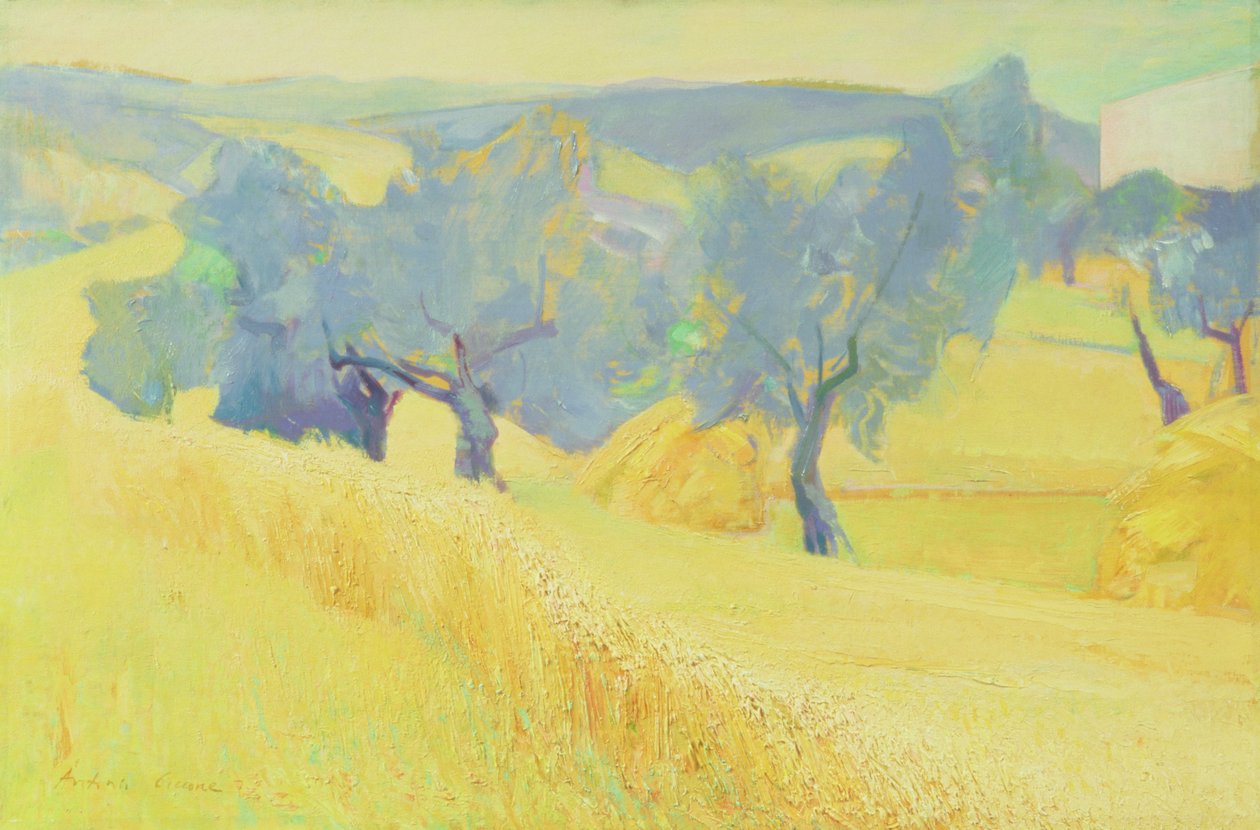 Oliventrær i Toscana, 1966 av Antonio Ciccone