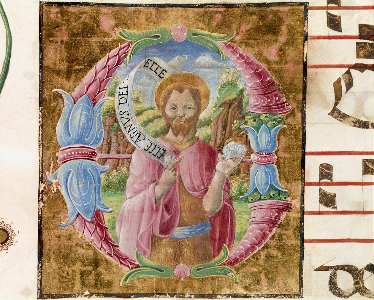 Døperen Johannes Lettrine opplyst av Antonio Cicognari. Detalj av et antifonarium. 1483. Cremone, kor 4, kapittel i katedralen av Antonio Cicognara