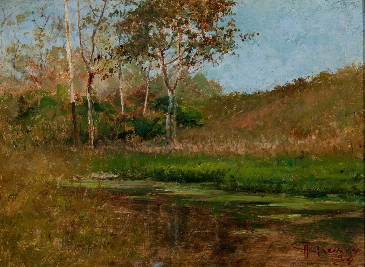 Stille vann av Antonio Parreiras