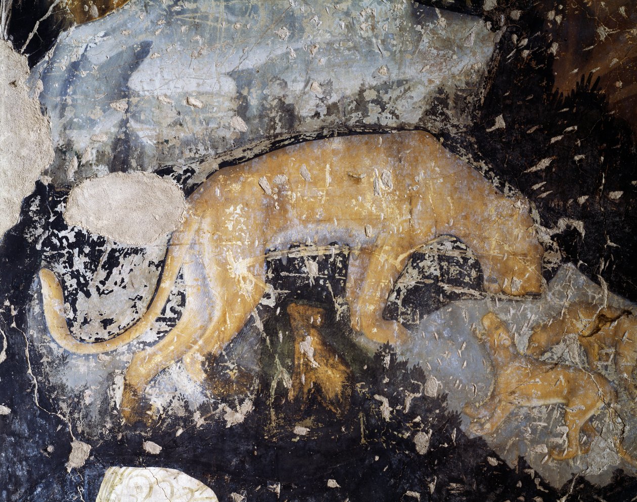 Hund, detalj (fresco) av Antonio Pisanello