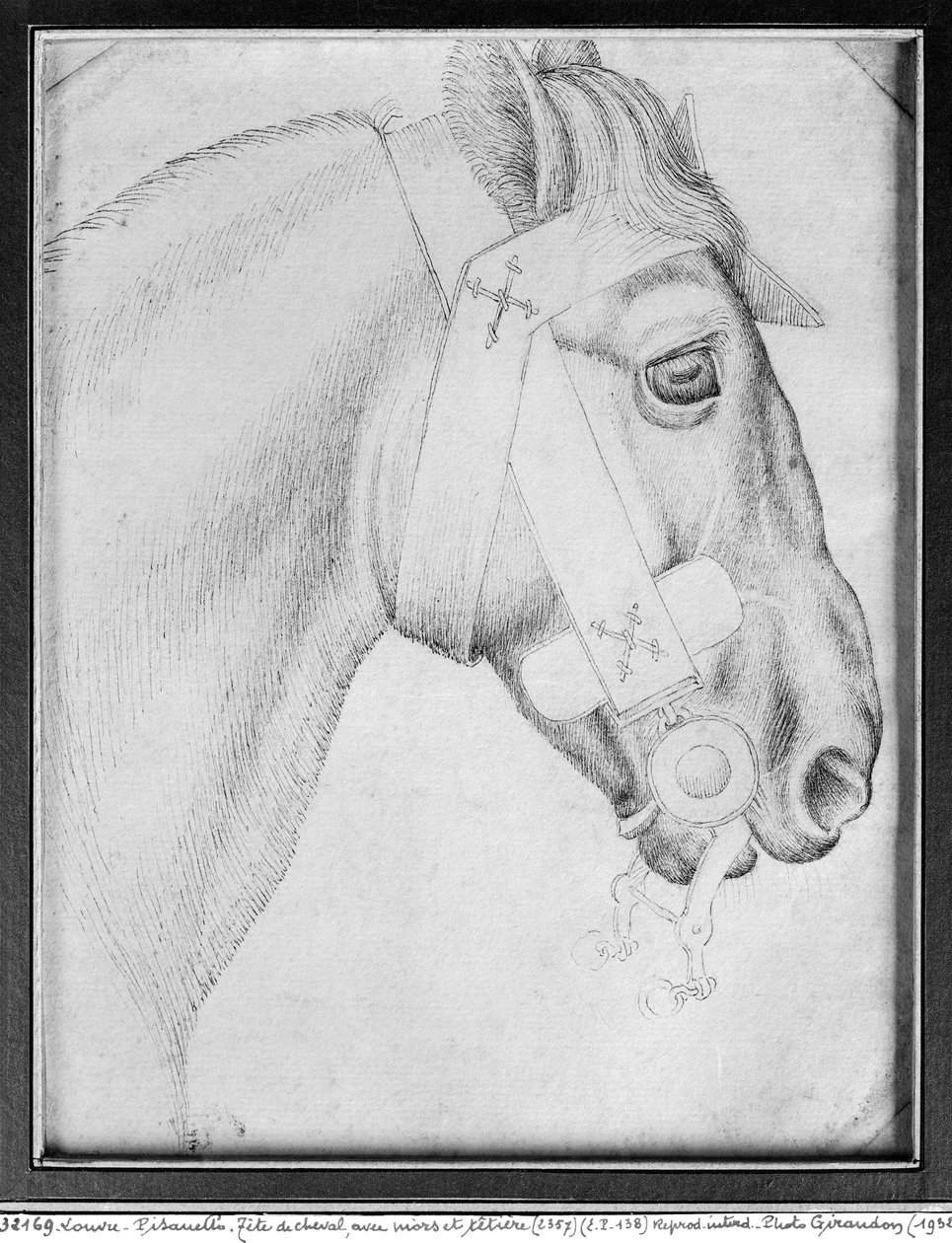 Hodet til en hest, fra The Vallardi Album (penn og blekk på papir) (bw-bilde) av Antonio Pisanello