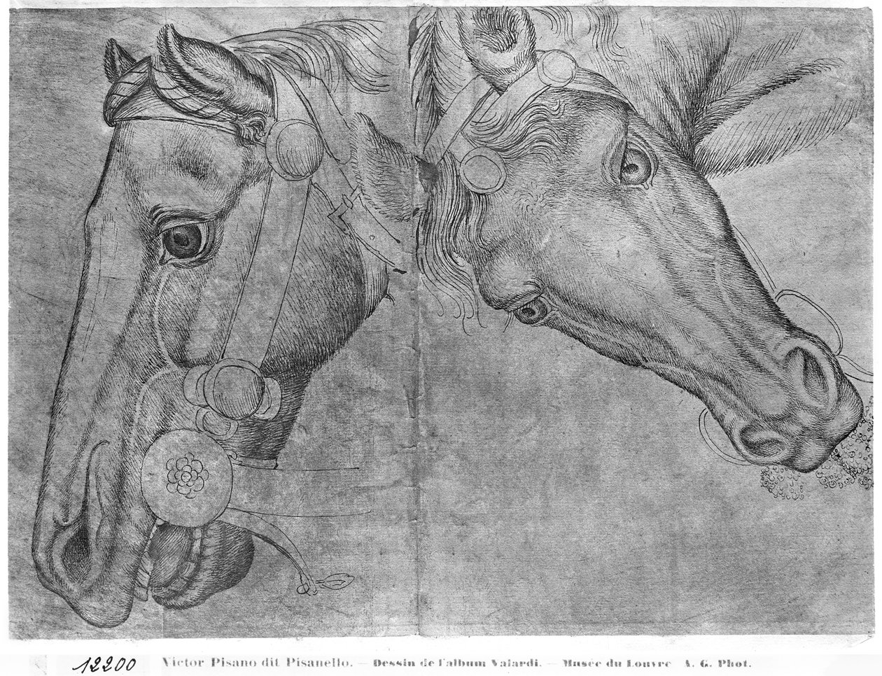Hoder av hester, fra The Vallardi Album av Antonio Pisanello
