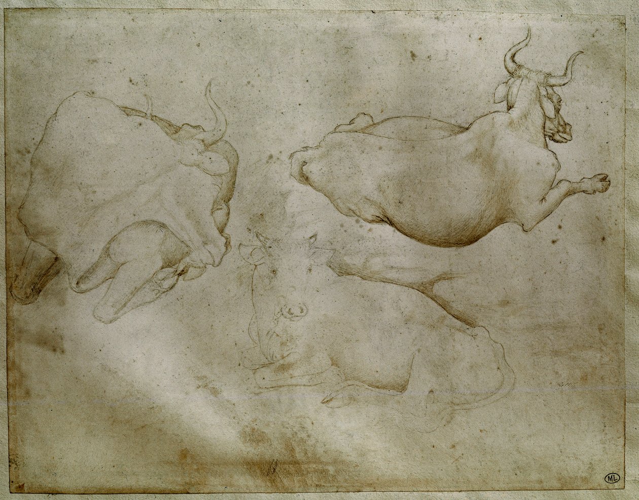 To kyr og en einer. Tegning av Antonio di Puccio Pisano dit Pisanello (1395-1455). Rull, metallspiss. Høyde: 17,6 cm. Louvre, Cabinet des medailles av Antonio Pisanello
