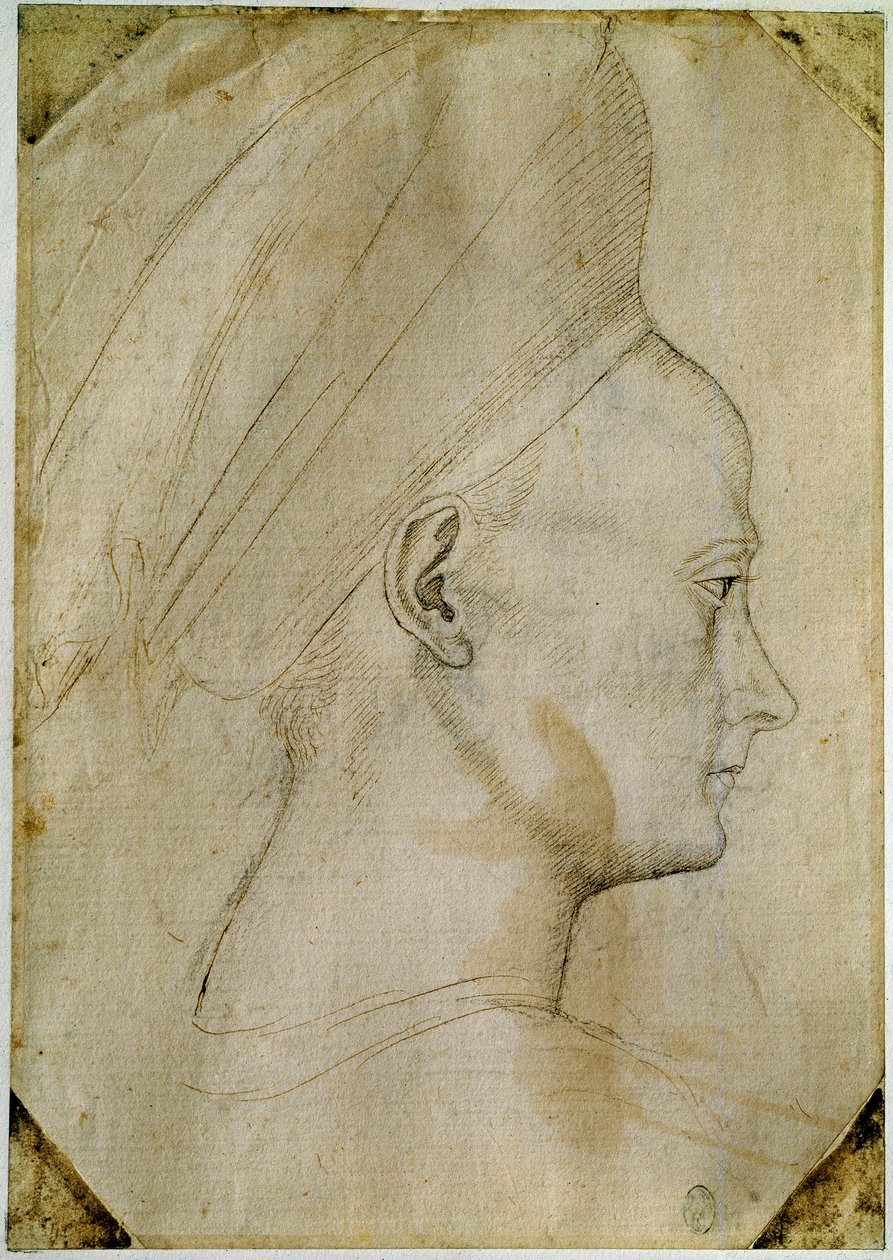 Ung kvinnes hode, i profil til høyre. Tegning av verkstedet til Antonio di Puccio Pisano dit Pisanello (1395-1455). Brunt blekk, svart stein, fjær. Mål: 24,6x17,2 cm. Louvre, Cabinet dessins. av Antonio Pisanello