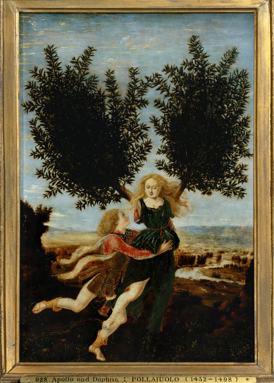 av Antonio Pollaiuolo