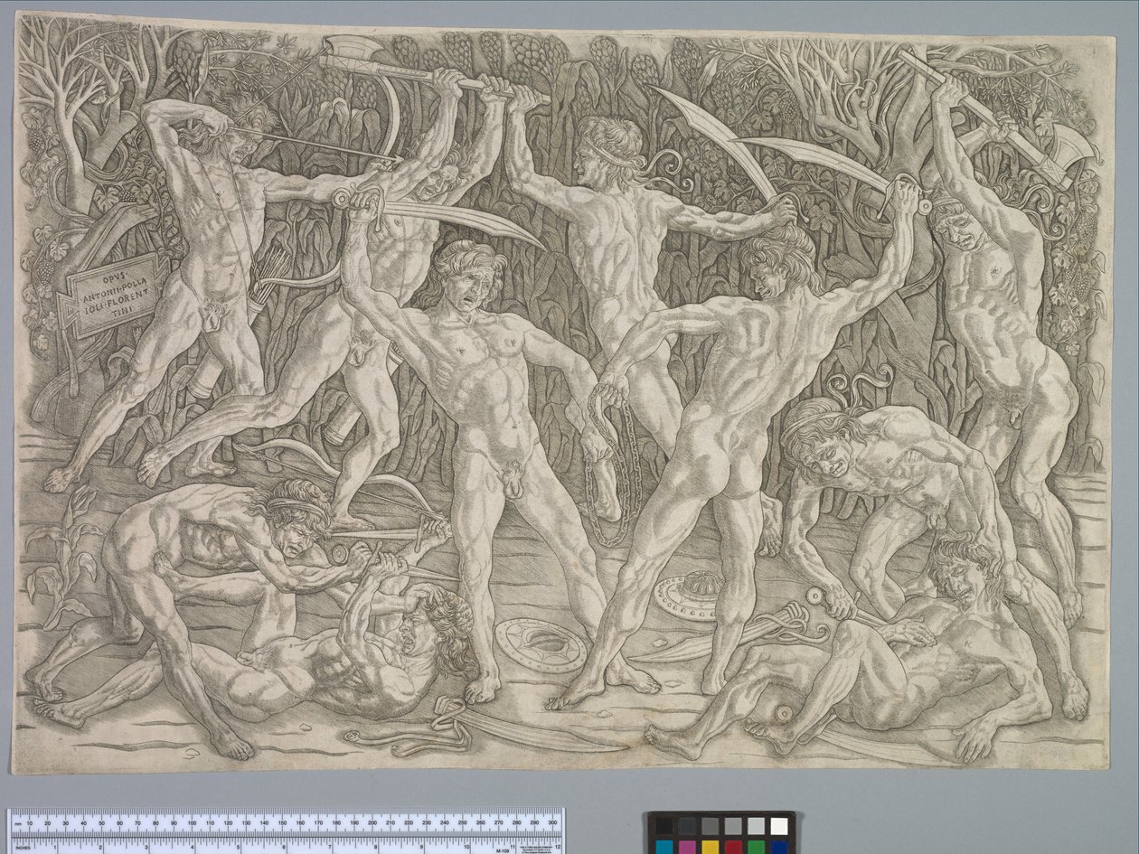 Battle of the Nudes, ca. 1475 av Antonio Pollaiuolo