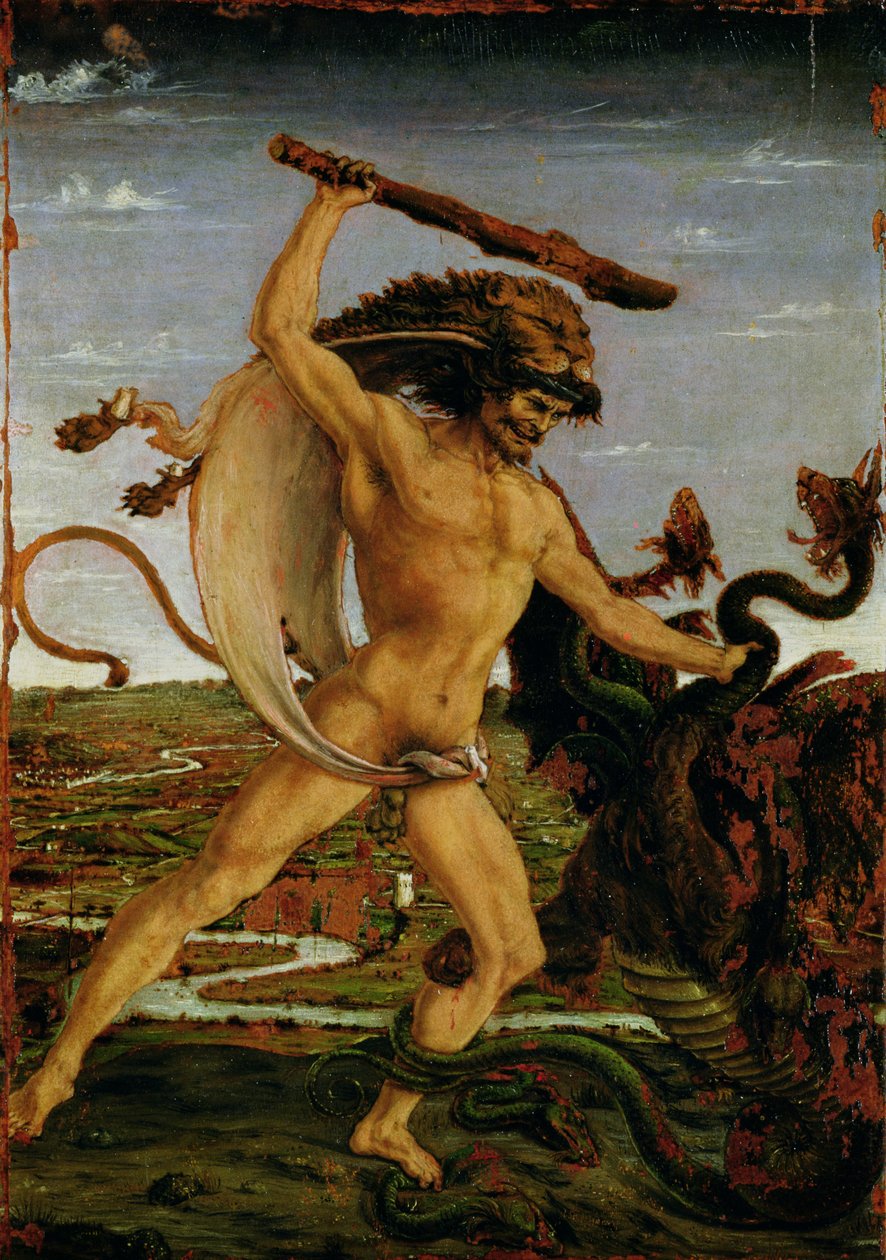 Hercules and the Hydra (tempera på panel) av Antonio Pollaiuolo