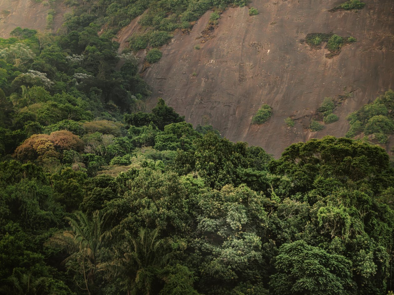 Corcovado XV, 2020 (digital fotografering) av Antonio Schubert