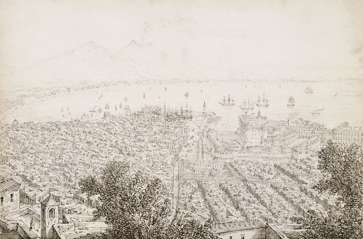 En panoramautsikt over Napoli av Antonio Senape