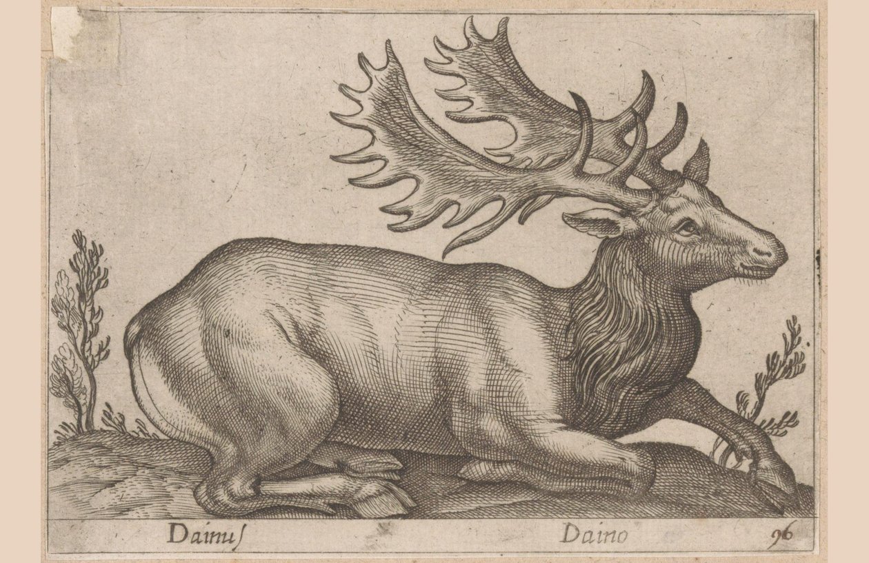 Damhert Dainus / Daino (tittel på objekt) Dieren en fabelwezens (serietittel) Nova-samling av de mest nysgjerrige dyrene i verden (serietittel) av Antonio Tempesta