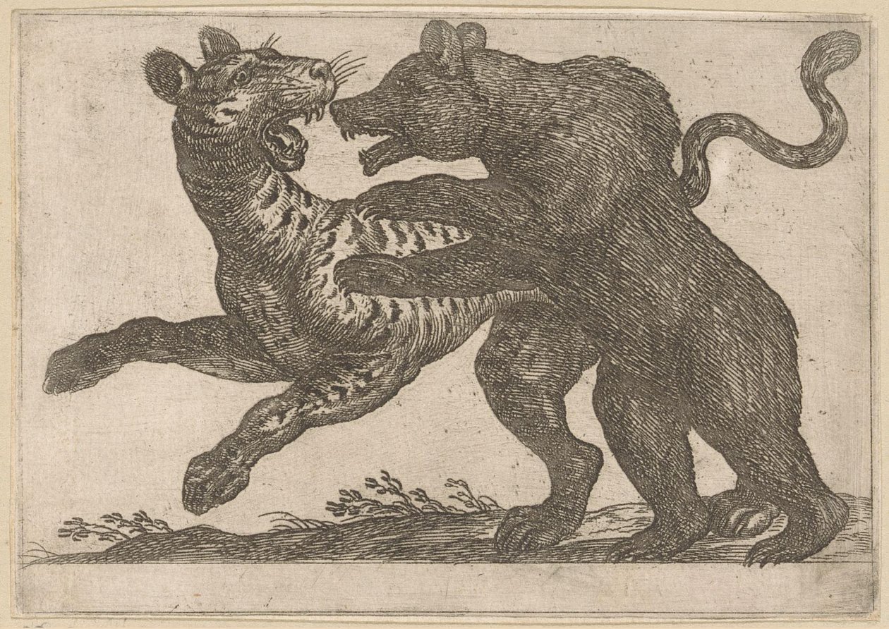 En bjørn som kjemper mot en tiger Kampdyr (serietittel) av Antonio Tempesta