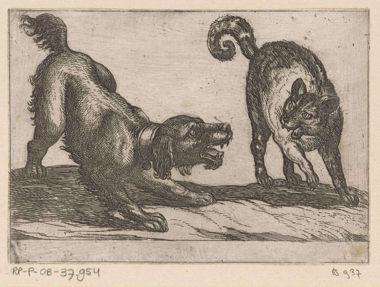 En hund som kjemper mot en katt Kampdyr (serietittel) av Antonio Tempesta