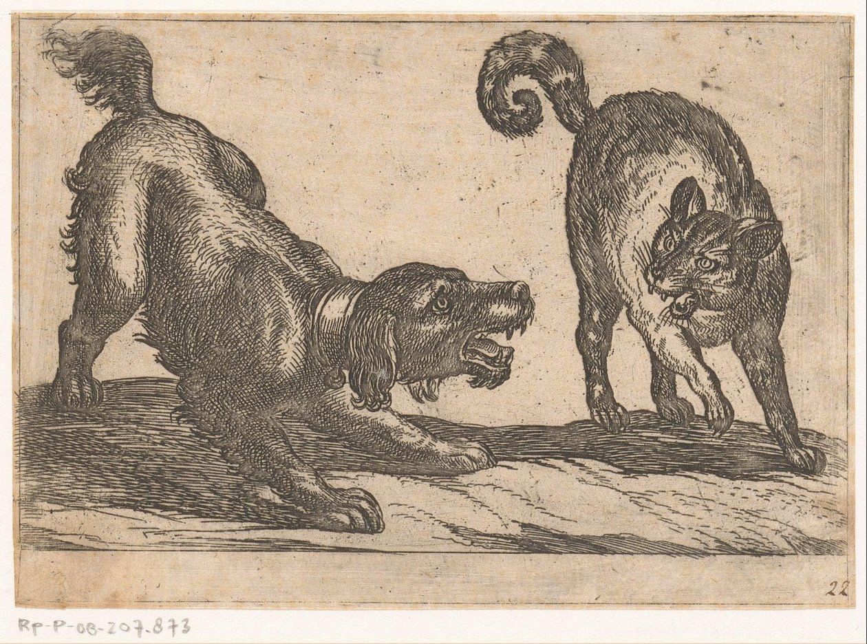 En hund som kjemper mot en katt Kampdyr (serietittel) av Antonio Tempesta