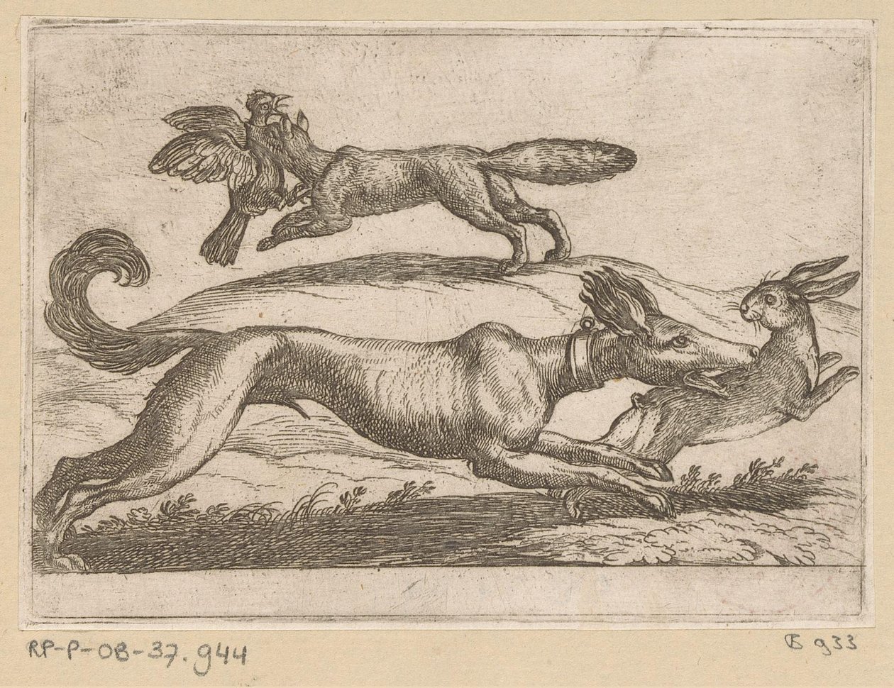 En rev angriper en kylling og en hund angriper en hare Kampdyr (serietittel) av Antonio Tempesta