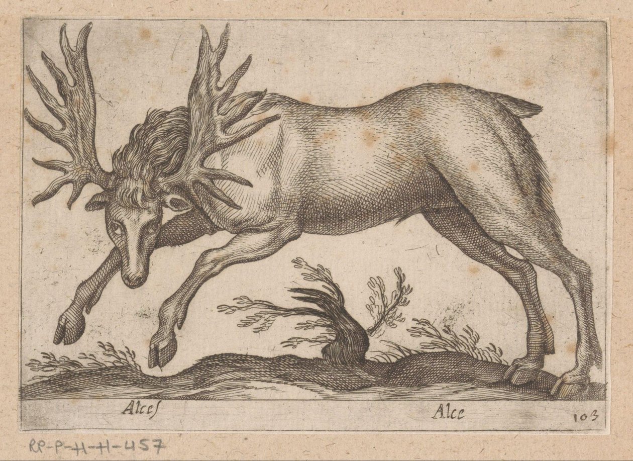 Eland Elg/ Elg (tittel på objekt) Dieren en fablewezens (serietittel) Ny samling av verdens mest nysgjerrige dyr (serietittel) av Antonio Tempesta