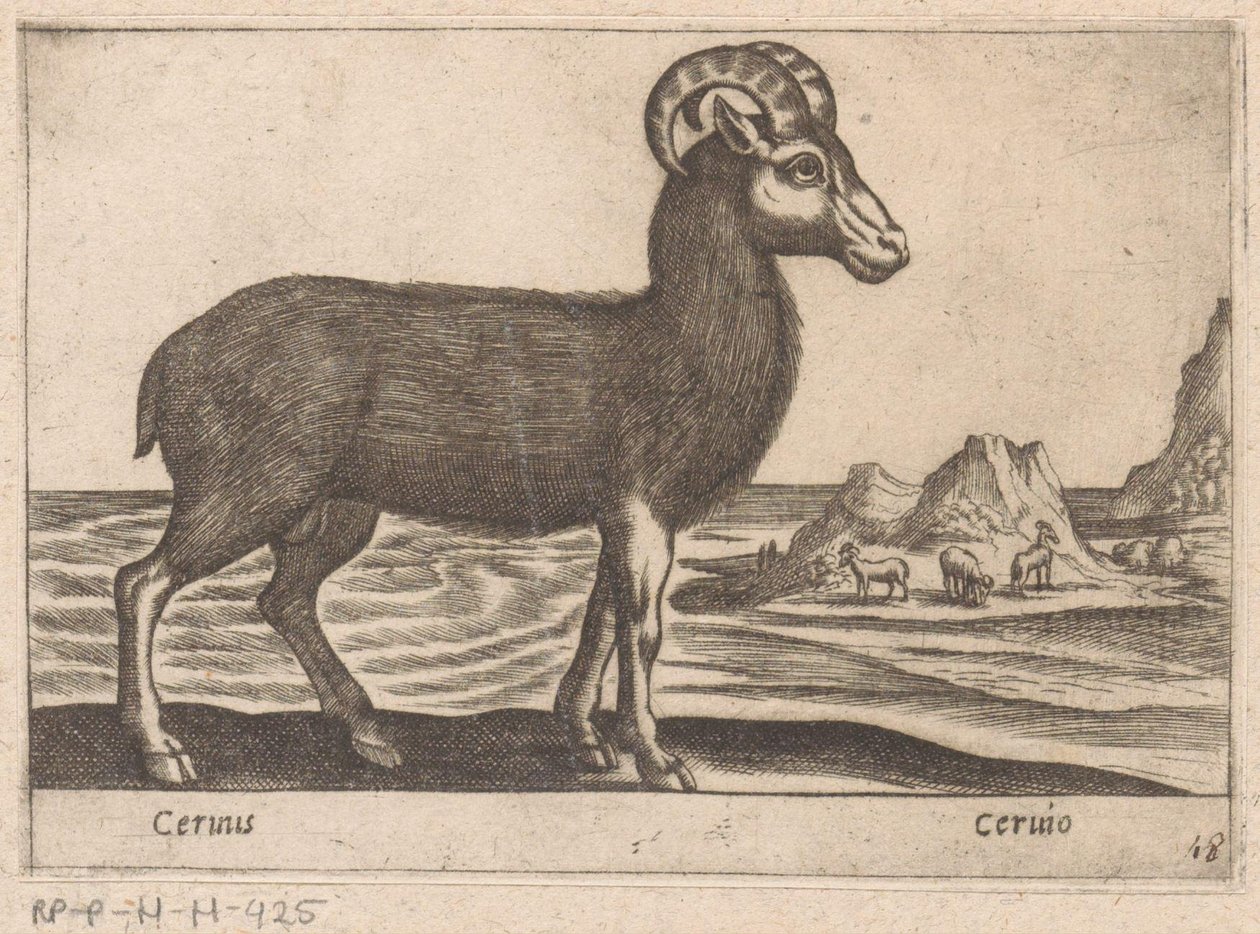 Edelstener Cerinis / Ceruio (tittel på objekt) Dieren en fabelwezens (serietittel) Nova-samling av de mest nysgjerrige dyrene i verden (serietittel) av Antonio Tempesta