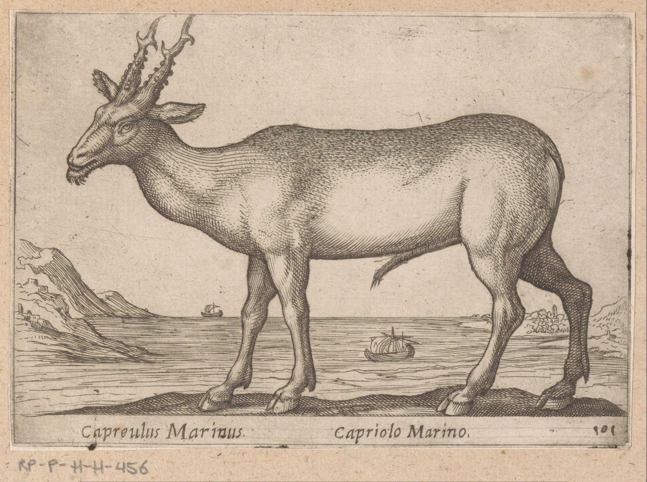 Hert Capreulus Marinus / Capriolo Marino (tittel på objekt) Dieren en fablewezens (serietittel) Ny samling av verdens mest nysgjerrige dyr (serietittel) av Antonio Tempesta