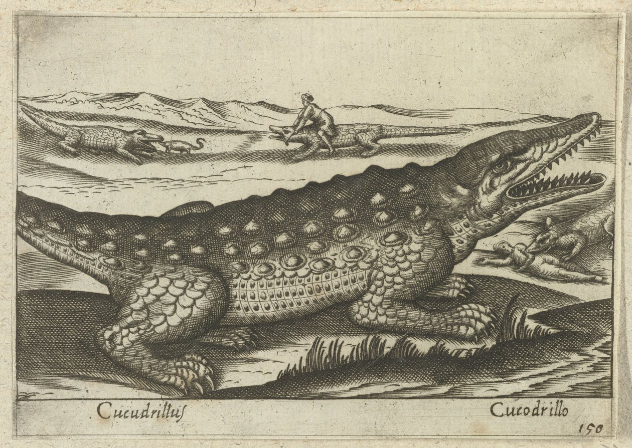 Krokodille Coccodrillus/ Krokodille (tittel på objekt) Dieren en fablewezens (serietittel) Ny samling av verdens mest nysgjerrige dyr (serietittel) av Antonio Tempesta